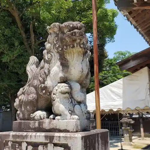 伊久智神社の狛犬