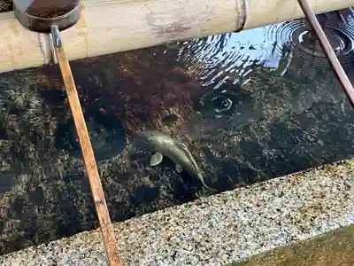 津島神社(愛知県)