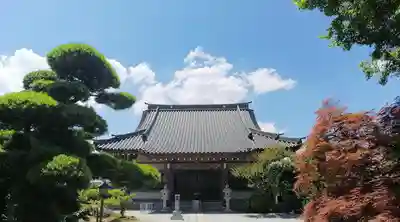 興禅寺の本殿・本堂