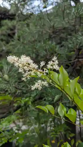 行願寺（革堂）(京都府)