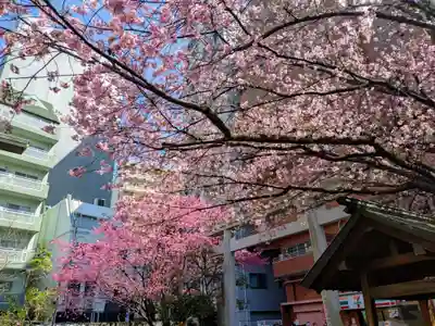 蔵前神社(東京都)