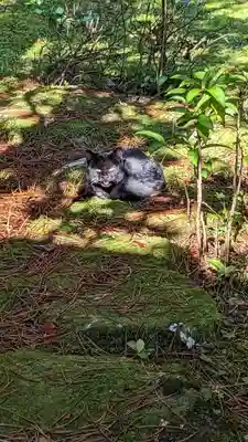 金蔵寺(京都府)