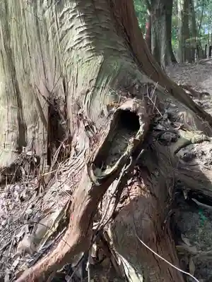 圓教寺(兵庫県)