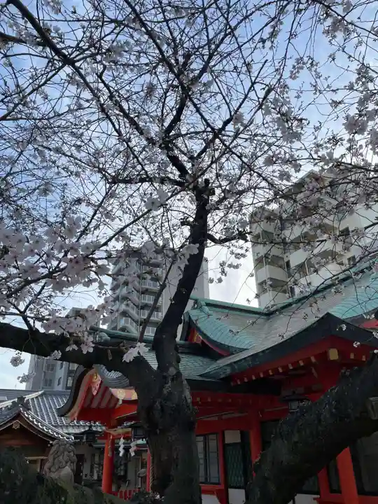 兵庫嚴島神社(兵庫県)
