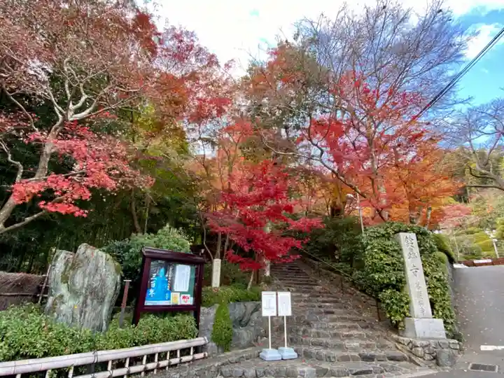 華厳寺(鈴虫寺)(京都府)