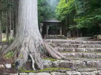 常照皇寺(京都府)