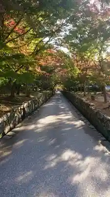 興聖寺(興聖寶林禅寺)のその他建物