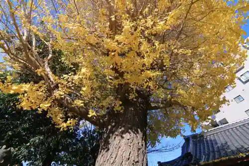 晴門田神社の庭園