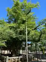 誕生寺(岡山県)