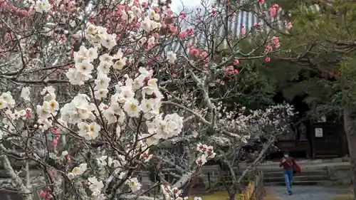 清凉寺(京都府)