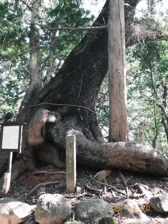 住吉神社の{uncategorized: "未分類", other: "その他", undefined: "問題あり", building: "その他建物", grave: "お墓", sacred_gate: "鳥居", guardian: "狛犬", statue: "像", buddha: "仏像", history: "歴史", nature: "自然", garden: "庭園", animal: "動物", pagoda: "塔", temizu: "手水舎", mountain_gate: "山門・神門", sanctuary: "本殿・本堂", subordinate: "末社・摂社", art: "芸術", scenery: "景色", jizo: "地蔵", ema: "絵馬", goshuin: "御朱印", omikuji: "おみくじ", items: "授与品その他", amulet: "お守り", goshuincho: "御朱印帳", eats: "食事", festival: "お祭り", votive_dance: "神楽", shichigosan: "七五三参", wedding: "結婚式", experience: "体験その他", initially: "初詣", around: "周辺", anti_infection: "感染症対策"}