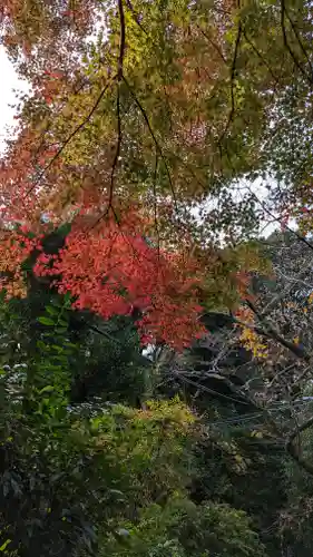 尊勝院(京都府)