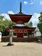 金剛寺(大阪府)