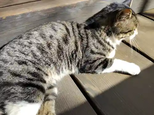 真野寺(千葉県)