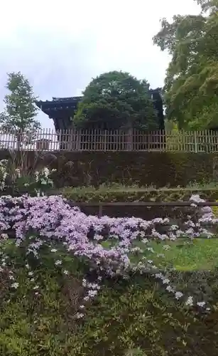 観音寺(栃木県)