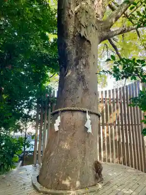 鎮守氷川神社(埼玉県)