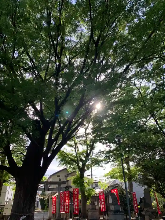 新町諏訪神社(群馬県)