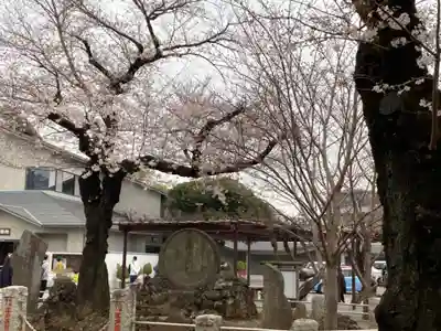祐天寺(東京都)