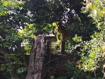 宇佐神社のその他建物