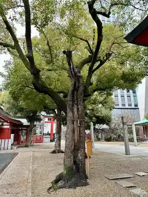 御霊神社(大阪府)