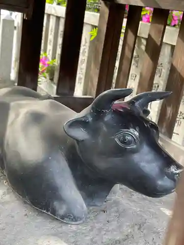 長洲天満宮の狛犬