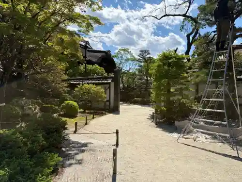 知恩院の{uncategorized: "未分類", other: "その他", undefined: "問題あり", building: "その他建物", grave: "お墓", sacred_gate: "鳥居", guardian: "狛犬", statue: "像", buddha: "仏像", history: "歴史", nature: "自然", garden: "庭園", animal: "動物", pagoda: "塔", temizu: "手水舎", mountain_gate: "山門・神門", sanctuary: "本殿・本堂", subordinate: "末社・摂社", art: "芸術", scenery: "景色", jizo: "地蔵", ema: "絵馬", goshuin: "御朱印", omikuji: "おみくじ", items: "授与品その他", amulet: "お守り", goshuincho: "御朱印帳", eats: "食事", festival: "お祭り", votive_dance: "神楽", shichigosan: "七五三参", wedding: "結婚式", experience: "体験その他", initially: "初詣", around: "周辺", anti_infection: "感染症対策"}