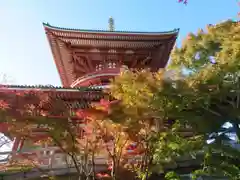 成田山新勝寺の塔