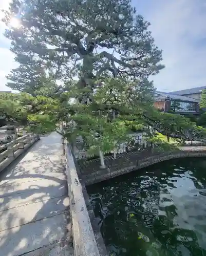 満月寺（浮御堂）の周辺