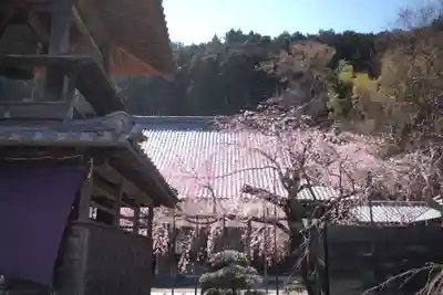 円光寺のその他建物