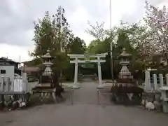 杵築神社の鳥居