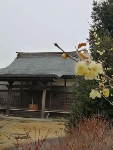 本明院の本殿・本堂