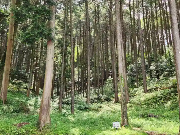 大歳神社の周辺