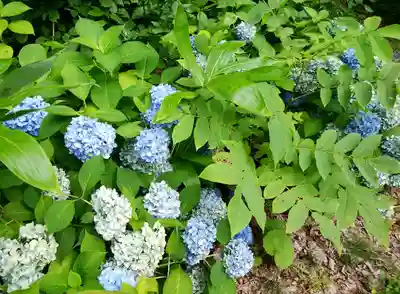 士別神社(北海道)