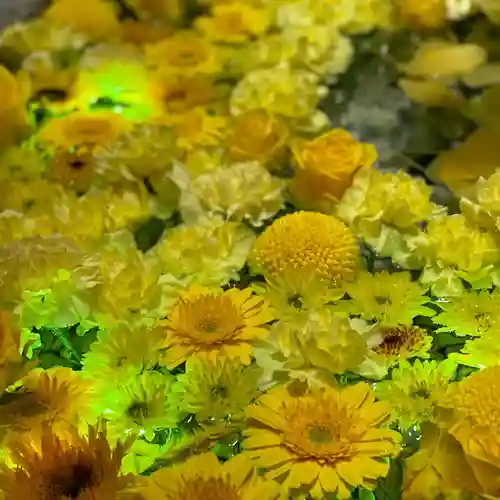 札幌諏訪神社の手水舎