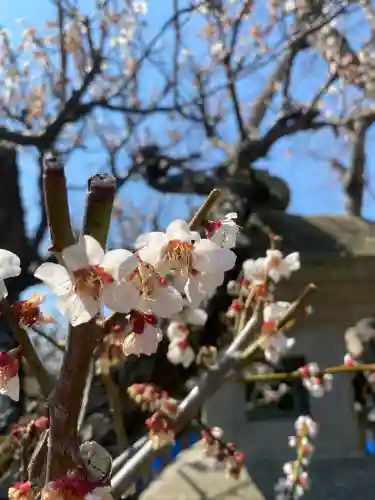 祖母井神社(栃木県)