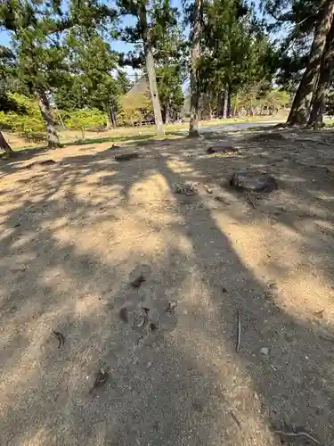 毛越寺(岩手県)