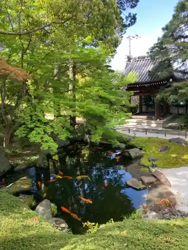 釈迦院の{uncategorized: "未分類", other: "その他", undefined: "問題あり", building: "その他建物", grave: "お墓", sacred_gate: "鳥居", guardian: "狛犬", statue: "像", buddha: "仏像", history: "歴史", nature: "自然", garden: "庭園", animal: "動物", pagoda: "塔", temizu: "手水舎", mountain_gate: "山門・神門", sanctuary: "本殿・本堂", subordinate: "末社・摂社", art: "芸術", scenery: "景色", jizo: "地蔵", ema: "絵馬", goshuin: "御朱印", omikuji: "おみくじ", items: "授与品その他", amulet: "お守り", goshuincho: "御朱印帳", eats: "食事", festival: "お祭り", votive_dance: "神楽", shichigosan: "七五三参", wedding: "結婚式", experience: "体験その他", initially: "初詣", around: "周辺", anti_infection: "感染症対策"}