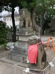 海神社の狛犬