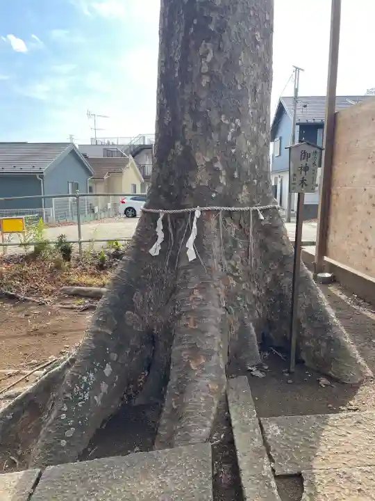 春日神社の{uncategorized: "未分類", other: "その他", undefined: "問題あり", building: "その他建物", grave: "お墓", sacred_gate: "鳥居", guardian: "狛犬", statue: "像", buddha: "仏像", history: "歴史", nature: "自然", garden: "庭園", animal: "動物", pagoda: "塔", temizu: "手水舎", mountain_gate: "山門・神門", sanctuary: "本殿・本堂", subordinate: "末社・摂社", art: "芸術", scenery: "景色", jizo: "地蔵", ema: "絵馬", goshuin: "御朱印", omikuji: "おみくじ", items: "授与品その他", amulet: "お守り", goshuincho: "御朱印帳", eats: "食事", festival: "お祭り", votive_dance: "神楽", shichigosan: "七五三参", wedding: "結婚式", experience: "体験その他", initially: "初詣", around: "周辺", anti_infection: "感染症対策"}