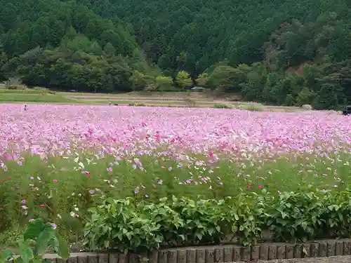 達身寺(兵庫県)