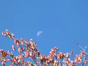留辺蘂神社の自然(2024年10月01日(火) 21時05分33秒投稿)