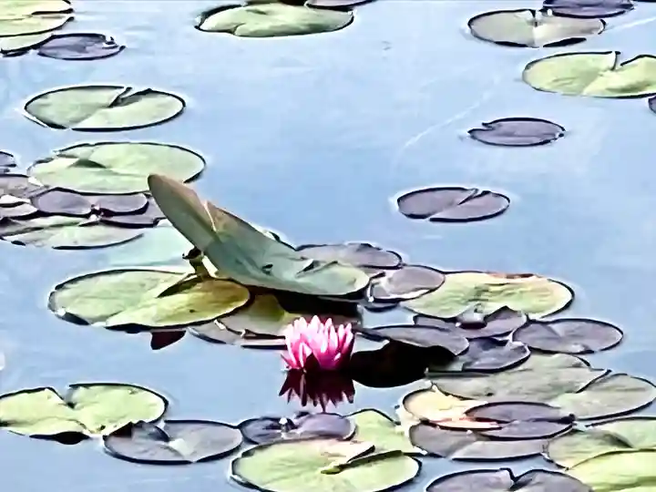 仁科神社(長野県)