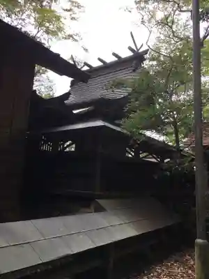 立野神社の本殿・本堂