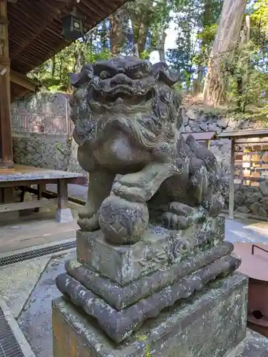 五所神社の狛犬