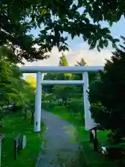 土津神社｜こどもと出世の神さまの鳥居