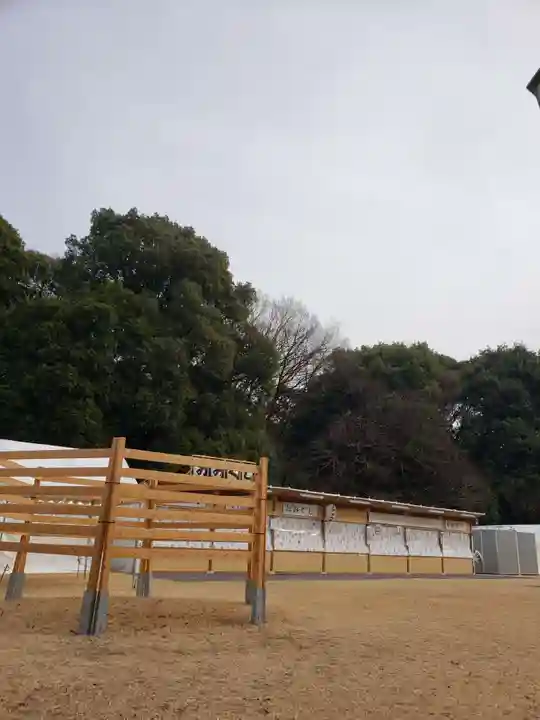 明治神宮(東京都)