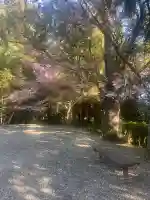 今泉神社の{uncategorized: "未分類", other: "その他", undefined: "問題あり", building: "その他建物", grave: "お墓", sacred_gate: "鳥居", guardian: "狛犬", statue: "像", buddha: "仏像", history: "歴史", nature: "自然", garden: "庭園", animal: "動物", pagoda: "塔", temizu: "手水舎", mountain_gate: "山門・神門", sanctuary: "本殿・本堂", subordinate: "末社・摂社", art: "芸術", scenery: "景色", jizo: "地蔵", ema: "絵馬", goshuin: "御朱印", omikuji: "おみくじ", items: "授与品その他", amulet: "お守り", goshuincho: "御朱印帳", eats: "食事", festival: "お祭り", votive_dance: "神楽", shichigosan: "七五三参", wedding: "結婚式", experience: "体験その他", initially: "初詣", around: "周辺", anti_infection: "感染症対策"}