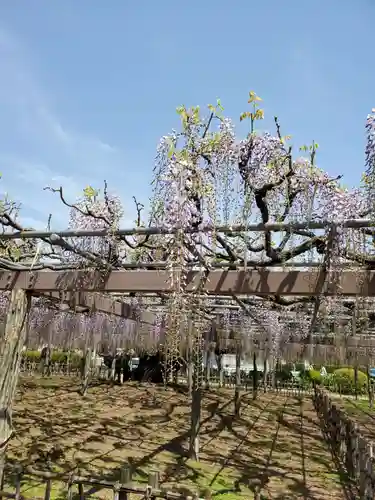 玉敷神社の庭園