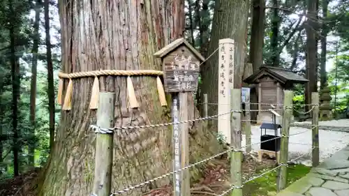 鷲子山上神社(栃木県)
