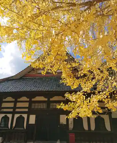 本遠寺の本殿・本堂